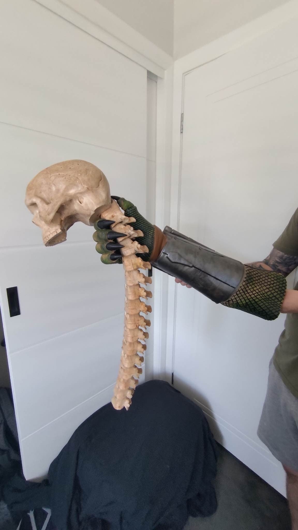 Predator Arm and Skull Trophy with Wall Mount