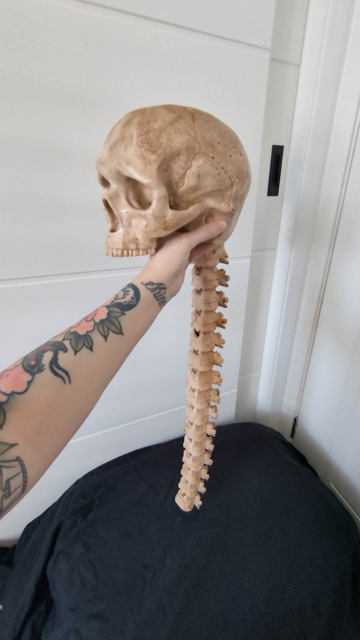 Predator Arm and Skull Trophy with Wall Mount