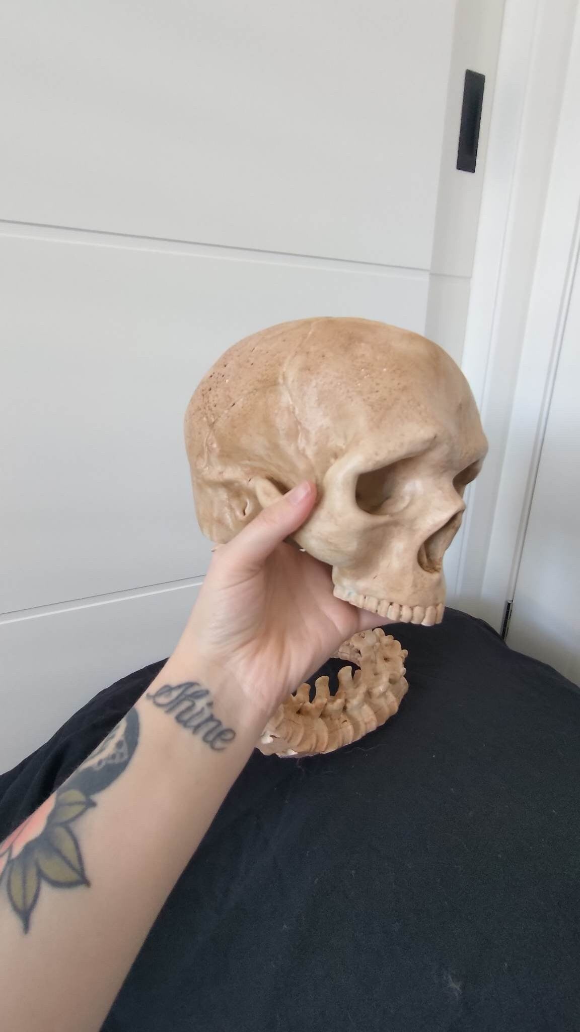 Predator Arm and Skull Trophy with Wall Mount