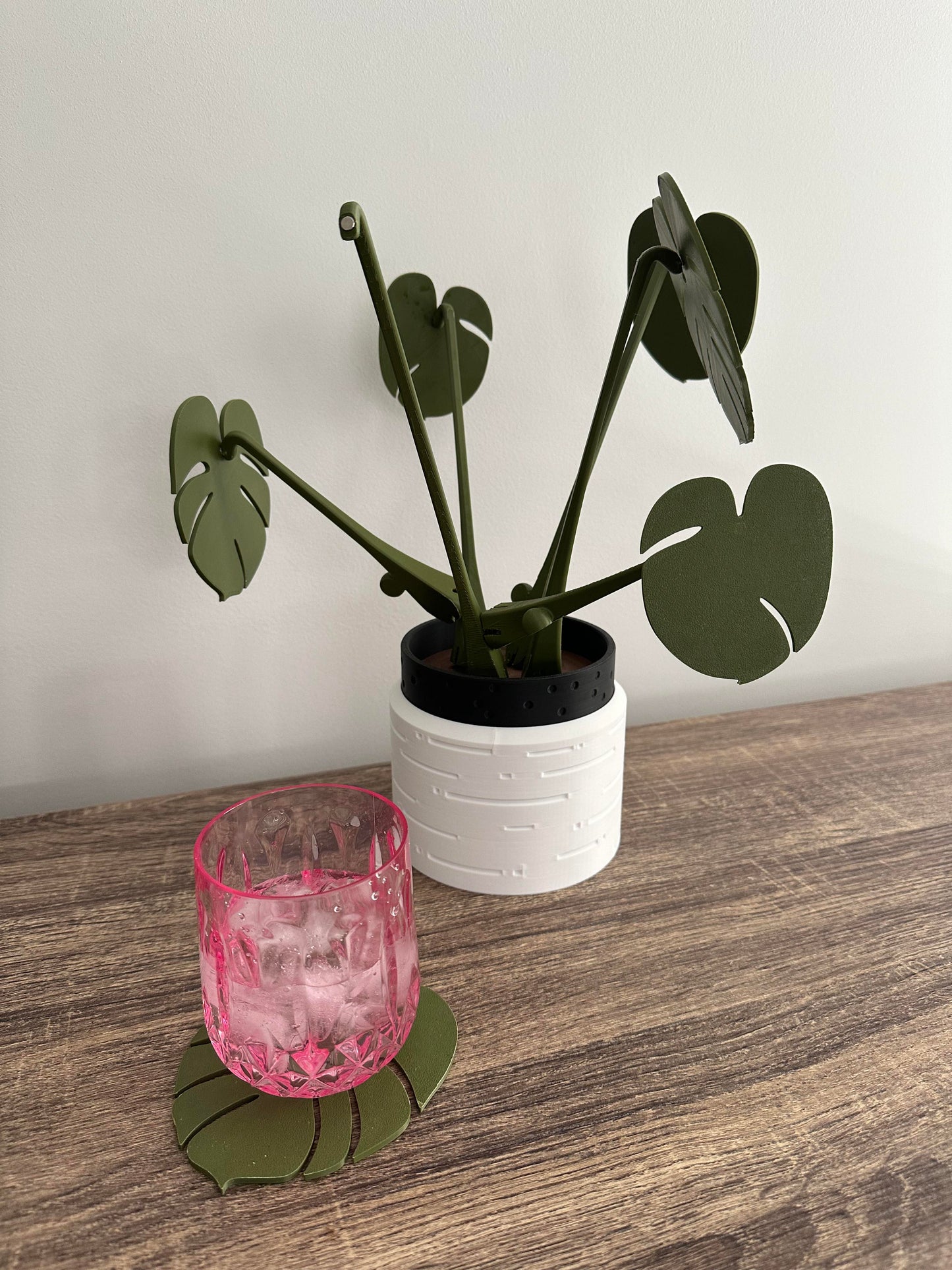 Monstera Plant - Coaster Leafs