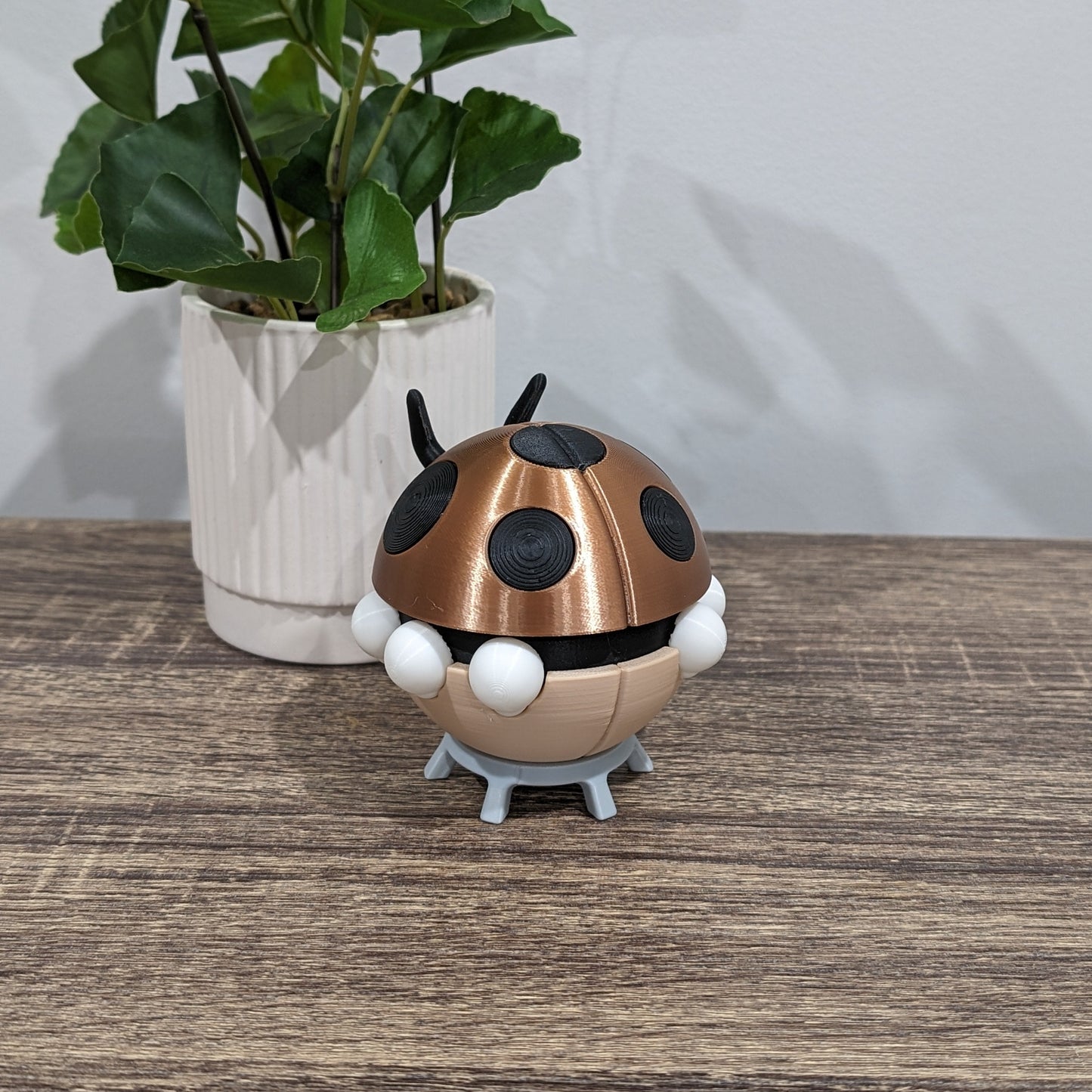 Ledyba Themed Ball