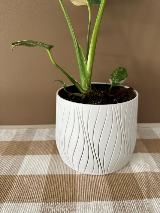 3D Printed PLA Pot Plant Deco