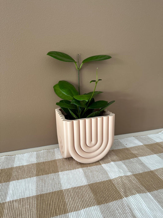 3D Printed PLA Pot Plant Deco