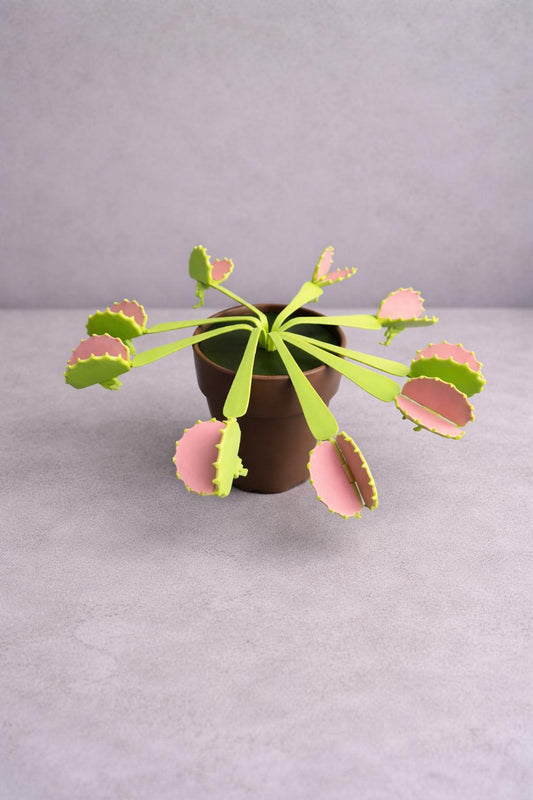 Venus Flytrap Snack Clips 3D Printed Plant