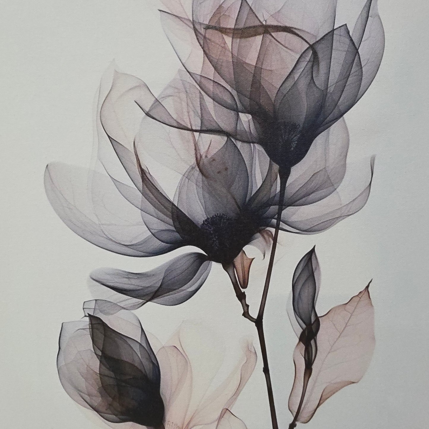 Abstract Magnolia UV Printed Canvas Wall Art