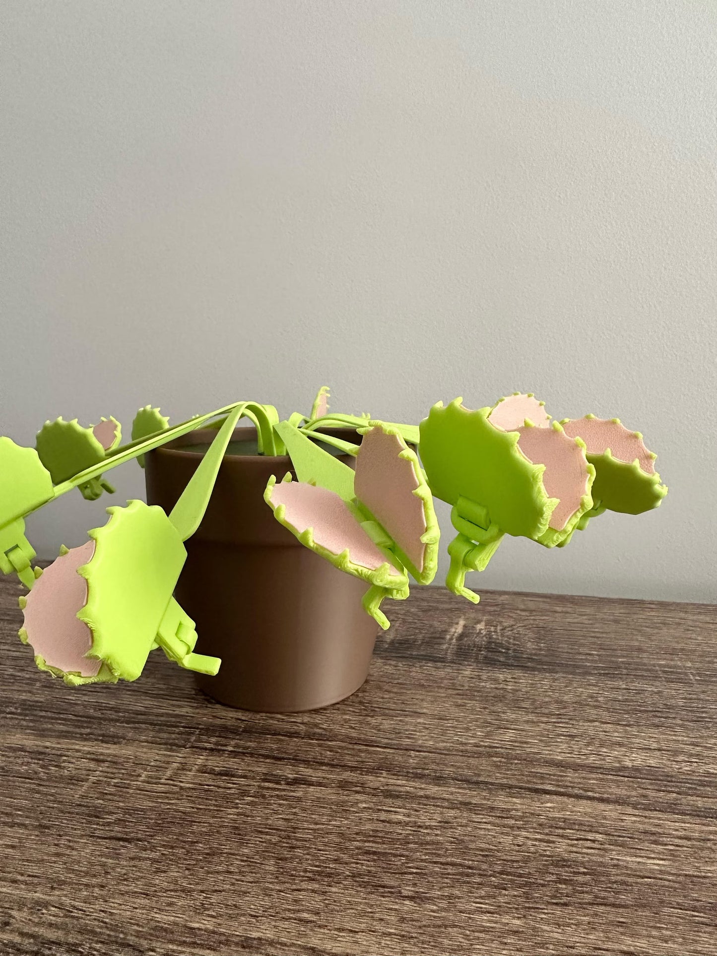 Venus Flytrap Snack Clips 3D Printed Plant